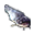 Catfish