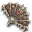 Catacomb Fan